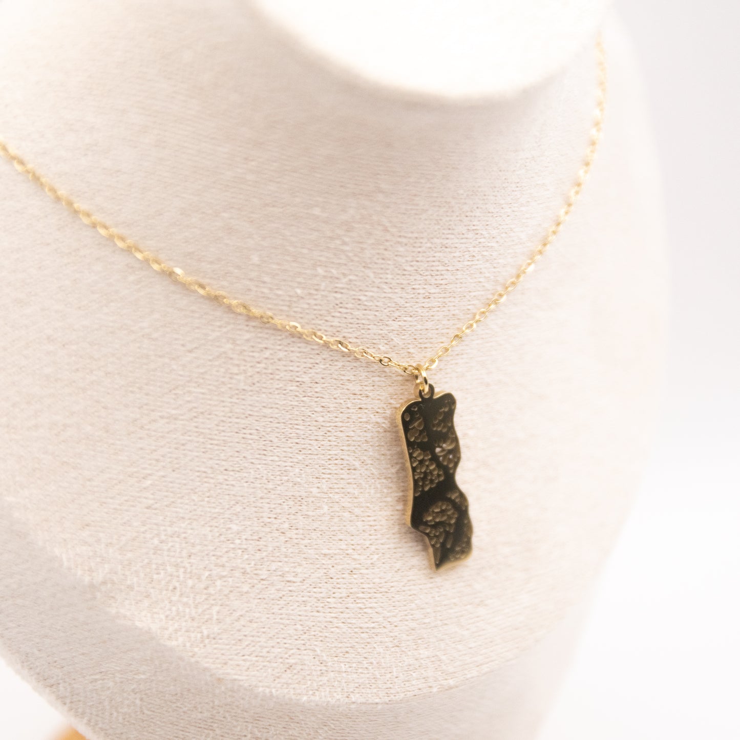 Collier "Carte du Portugal" en acier inoxydable