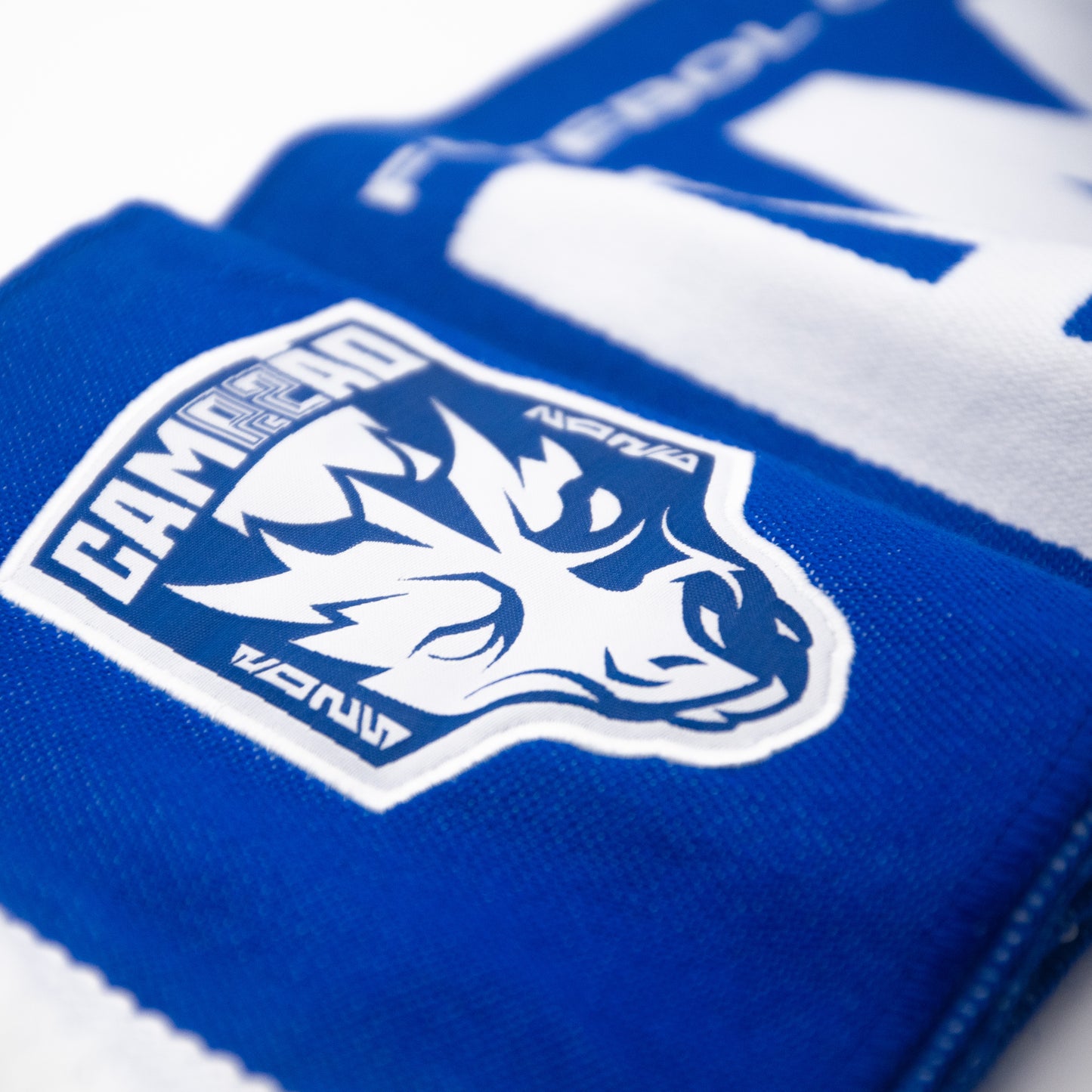 Écharpe champion officielle FC PORTO