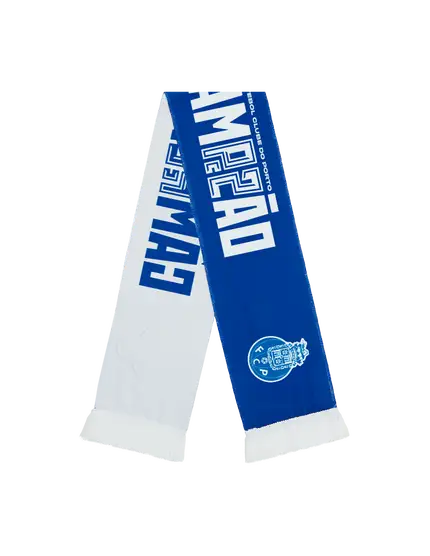 Écharpe champion FC PORTO - Précommande